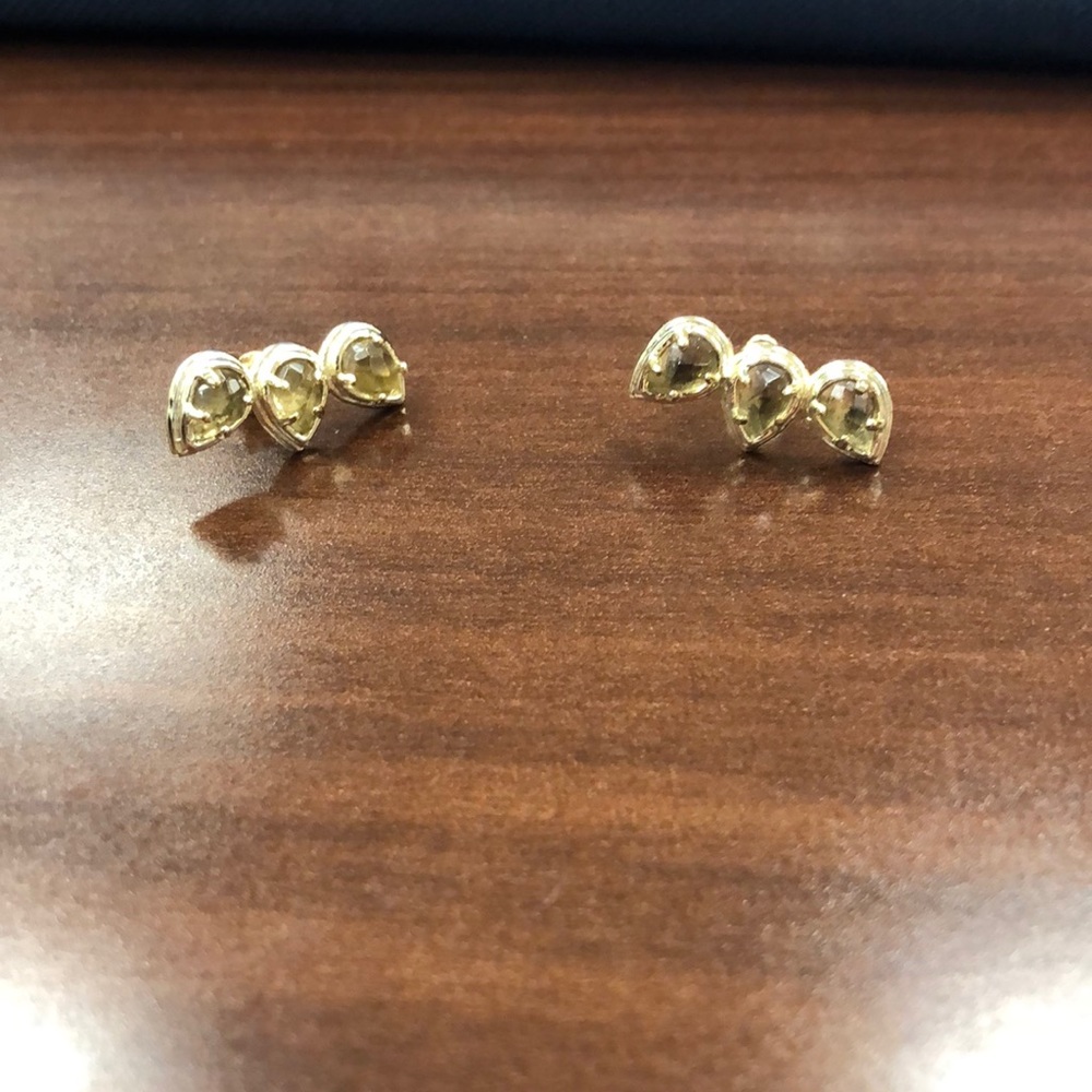 Kendra Scott Brittany Earrings in Clear Smoky